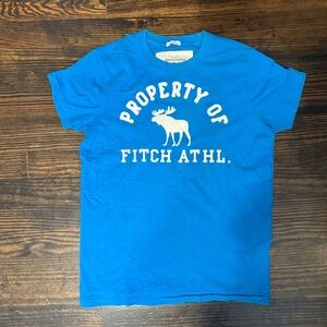 Abercrombie & Fitch Teal Crew Neck Tee